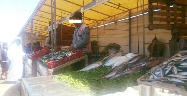 مندوبية التخطيط: 2019 شهدت انخفاضا في أسعار السمك و اللحوم مقابل ارتفاع أسعار الخضر