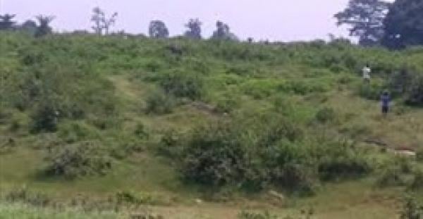 بالفيديو.. فيل يدهس رجلا سكرانا  بسبب «سيلفي»