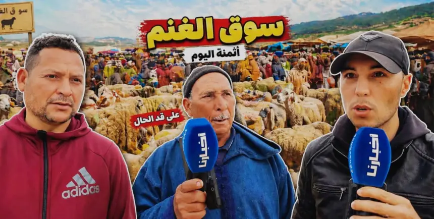 غضب في سوق الماشية بوزان بسبب الغلاء واتهامات لـ”الشناقة” بالضغط على القدرة الشرائية للمواطنين