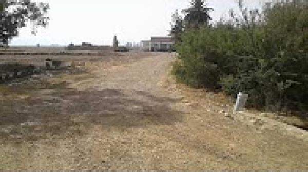 "دوار" بالرغم من قربه من طريق معبدة يفتقر الى الكهرباء