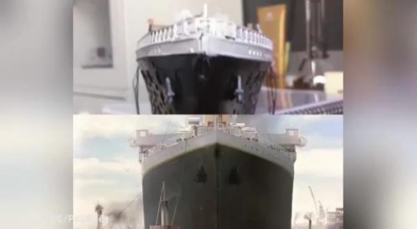 بالفيديو: قطط تعيد تمثيل فيلم "تايتانيك"