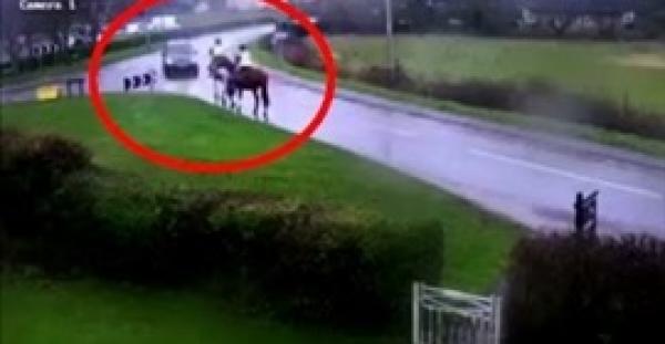 بالفيديو والصور.. سيارة تطيح براكبي أحصنة على الطريق