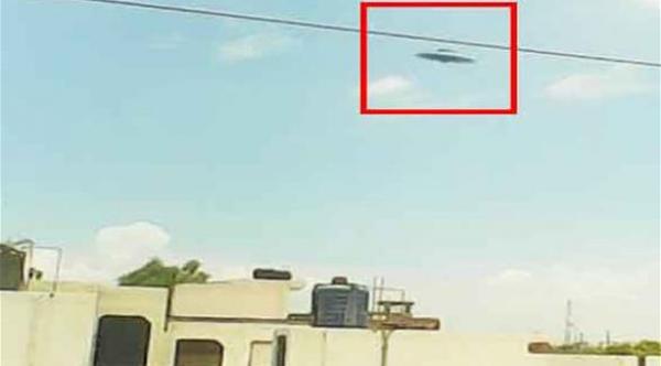 طالب هندي يلتقط أوضح صورة لطبق طائر