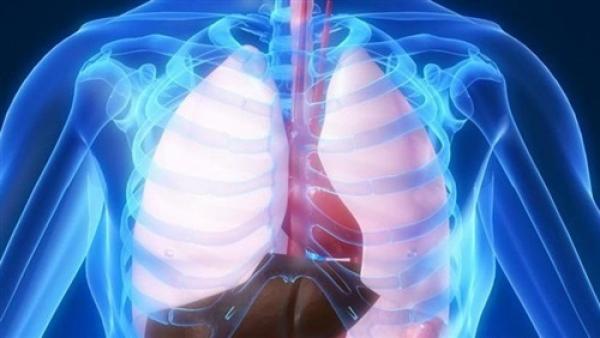 5 أعضاء في جسم الإنسان أصغر من عمره بـ 10 سنوات