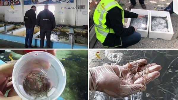 بالفيديو: القبض على مغربي بمليلية حاول تهريب "ثعابين" داخل حقائبه