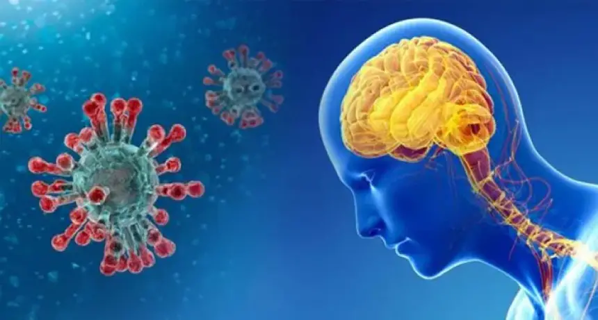 دراسات علمية جديدة تكشف أن فيروس كوفيد-19 يغيّر وظائف الدماغ حتى بعد التعافي