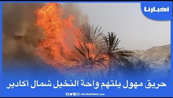 حريق مهول يلتهم واحة للنخيل شمال أكادير