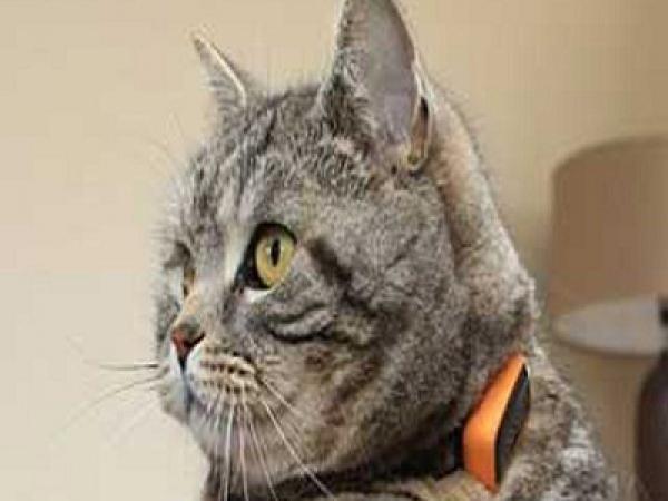 مبيعات "بلاي ستيشن 4" تتخطى 10 ملايين وحدة