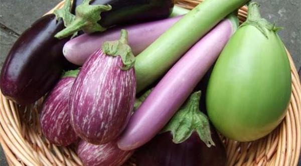 هل تنجح الحمية البنفسجية في إنقاص الوزن؟