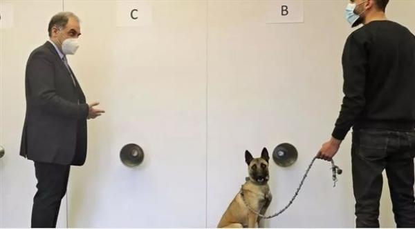 الكلاب المدربة على رصد كورونا سلاح طبيب لبناني لمكافحة الجائحة