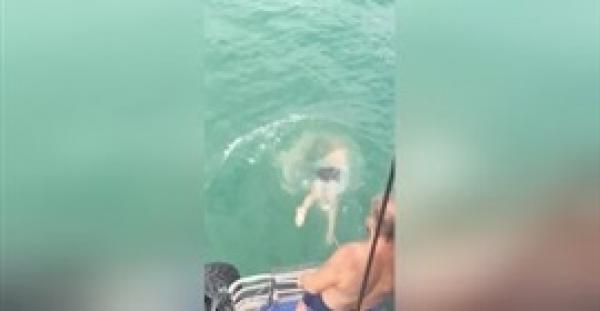 بالفيديو..  صراع بين سمكة قرش وأسترالي