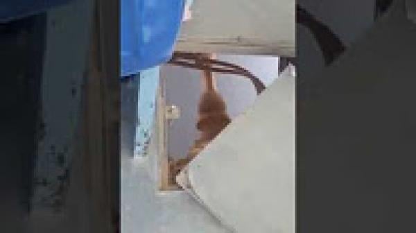 شوهة بالوعات داخل الحافلات: لي غفلات عينو طارت رجلو