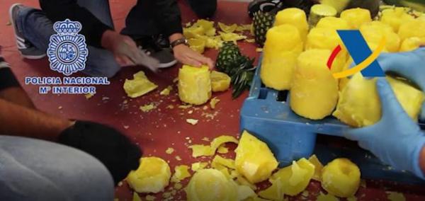 بالفيديو: شيباني مغربي عمره 72 سنة يهرب كمية كبيرة من الكوكايين في الأناناس!