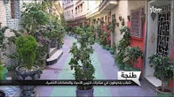 شبابُ طنجة يحوّلون أحياءً بـ"عروس البوغاز" إلى فضاءات خضراء