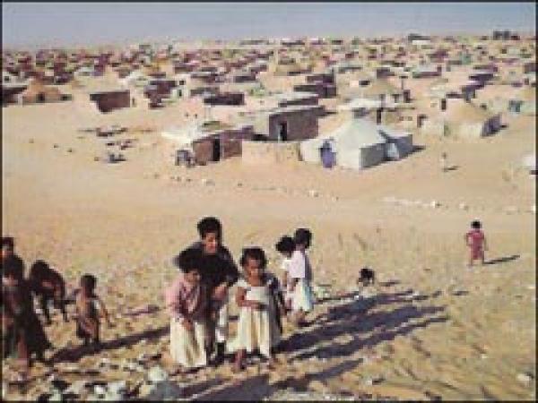 كشف سر تهرب بوليساريو من مناقشة حقوق الإنسان في مباحثات مالطا