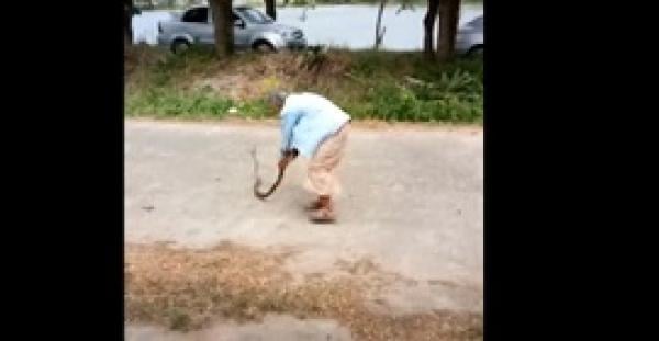 «عجوز» تنتقم من ثعبان تسلل إلى منزلها (فيديو)