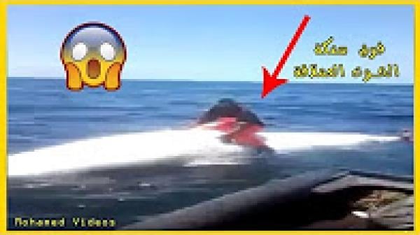 صياد مغربي مستمتع وهو راكب فوق حوت ضخم وسط البحر