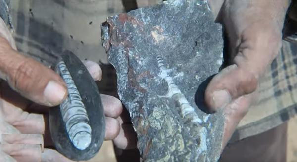 آثار المغرب المنهوبة