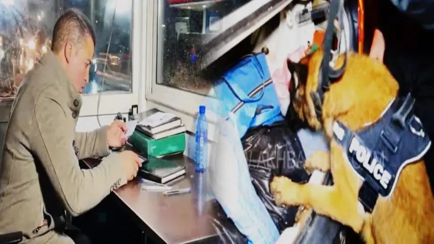 كلاب بوليسية مدربة وتنقيط المشتبه فيهم.. هكذا مرّت ليلة رأس السنة بالسدود القضائية بتطوان