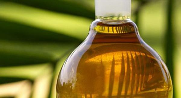 حقائق مذهلة عن فوائد زيت النخيل