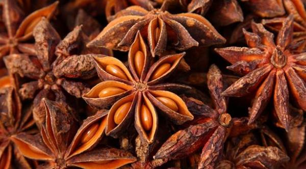 أهم فوائد اليانسون النجمي