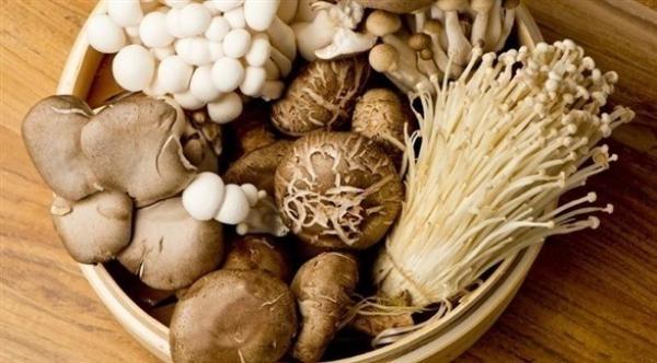 تعرف على أهمية الفطر لصحة الانسان