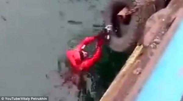 بالفيديو والصور.. عامل يقفز في المياه المثلجة لإنقاذ قطة