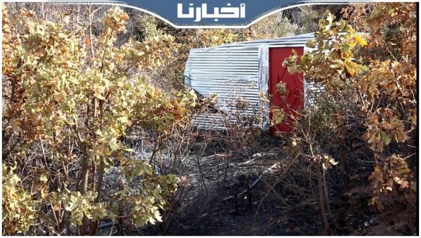 حريق شفشاون يلتهم 20 هكتارا وحظيرة لم تتضرر بمعجزة إلاهية