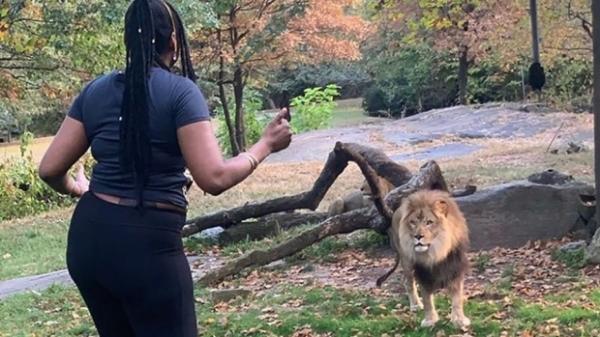 من أجل الشهرة: تقتحم حاجز الأسد في حديقة حيوان وتلقي بأموال أمامه(فيديو)