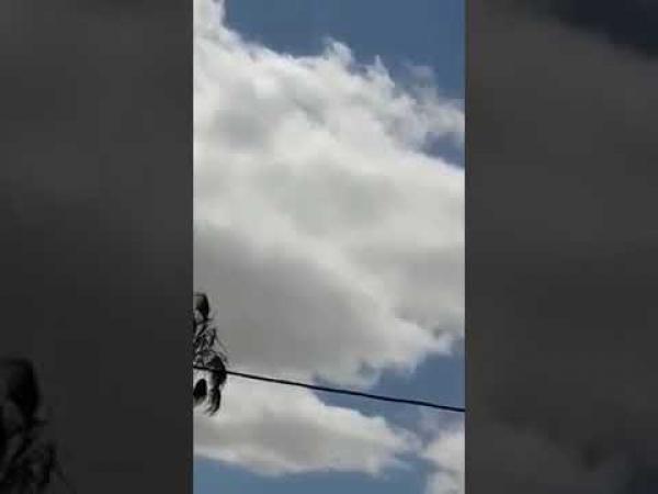 خطير بالفيديو:معطل يهدد بالانتحار من فوق لاقط هوائي بالقنيطرة والسلطات تتدخل وتنقذ الموقف(التفاصيل)