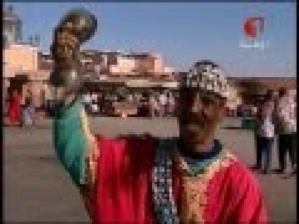 مراكش. لقطات من جامع لفنا 