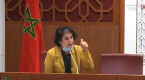 حنان رحاب: هناك عدم وضوح بخصوص موضوع معاشات البرلمانيين ويجب الحسم فيه وأنا مع إلغائه