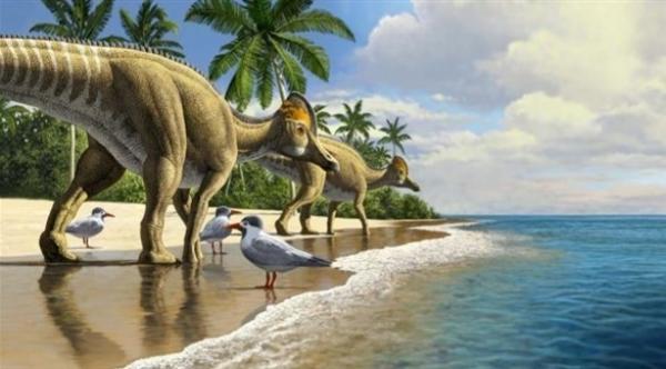اكتشاف حفرية لطائر عملاق عاش مع الديناصورات ارتفاعه 1.5 متر