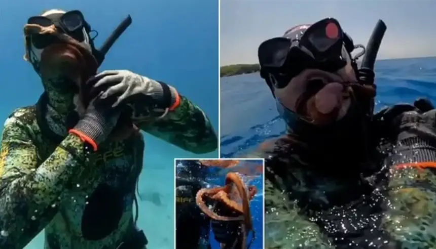 بالفيديو.. أخطبوط غاضب يخنق غواصاً بعد إزعاجه في أعماق البحر