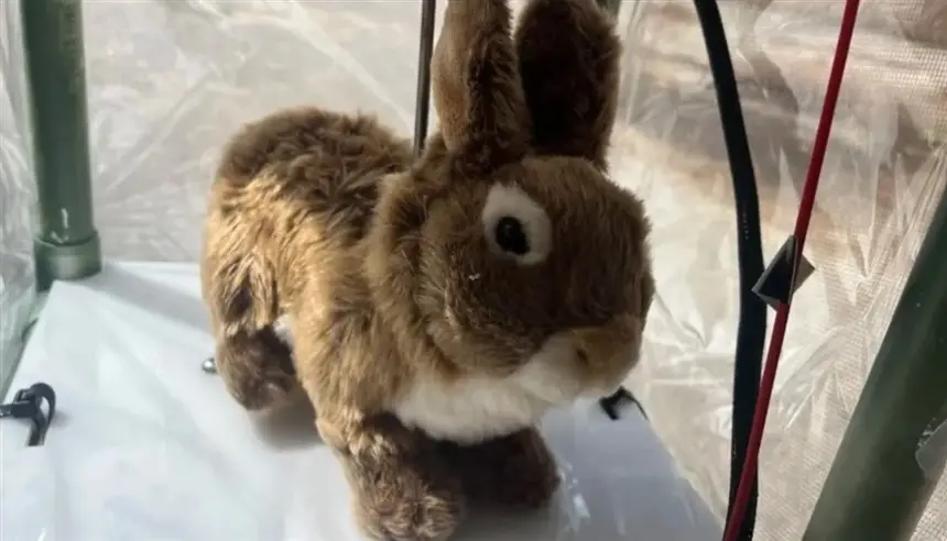 أرانب روبوتية شمسية تشن حرباً غير تقليدية على الثعابين العملاقة