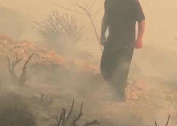 ملك الاردن يشارك في إطفاء حريق باحدى الغابات