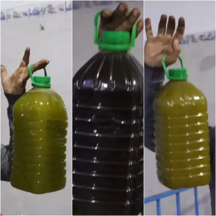 زيتون ݣرسيف "الرومي" يدفع الوزانيين لإعلان استيائهم وتحذير الباحثين عن "الزيت الوزانية الحرة"