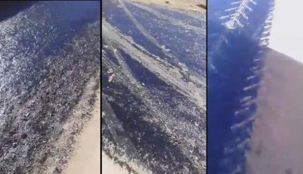 فيديو يهز الفيسبوك ويوثق لأغرب عملية غش في الزفت