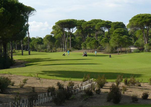 فضيحة ... ملاعب الكولف تسقى من مياه الشرب