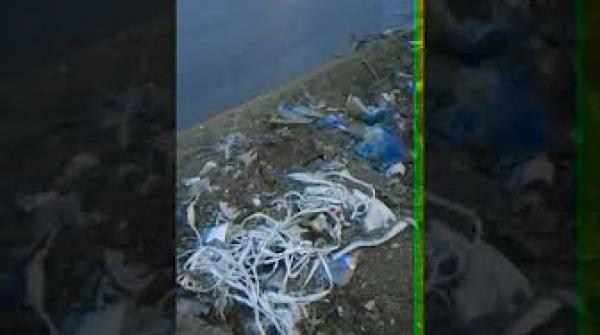 كارثة في أحد الأسواق بالناظور