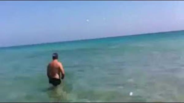 قرش يسبح بالقرب من المصطافين في شاطئ المعمورة بتونس