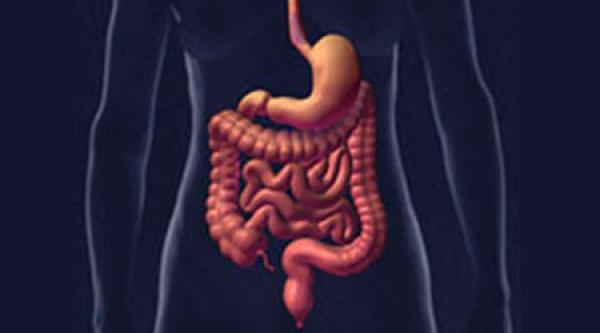 نصائح للوقاية من خطر الإصابة بسرطان القولون