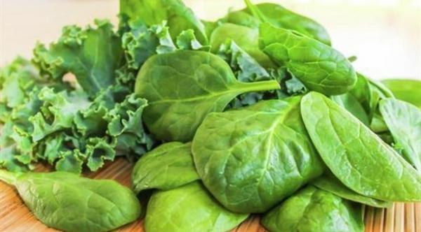 أطعمة ضرورية للأم المرضعة