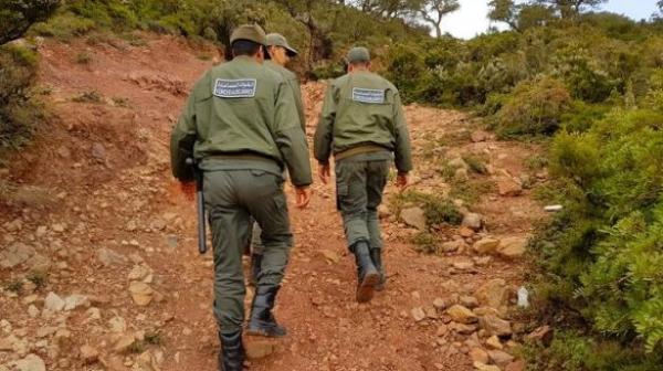 في عملية نموذجية.. سلطات الفنيدق تطهر غابات "بليونش" من المهاجرين السريين