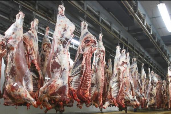 مجازر الدارالبيضاء تُوفر خدمة ذبح أضحية العيد بمبلغ 240 درهما