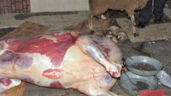 "حماية المستهلك" تُحذِّر من تفشي الذبحية السرية وأشياء أخرى عبر مموني الحفلات