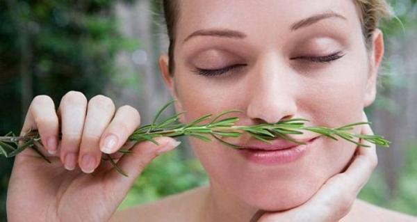 تنشقوا هذه النبتة السحرية لتحسنوا ذاكرتكم بنسبة 75بالمئة !