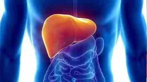 إليكم 3 مكونات طبيعية سحرية لتنقية الكبد من السموم و الشوائب !