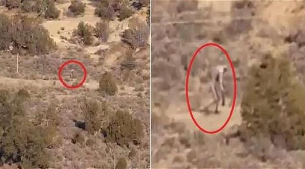 بالفيديو: كائن غريب يشبه الإنسان يظهر في صحراء البرتغال