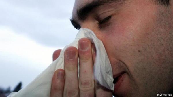 استعدادا لموسم الانفلونزا.. أعشاب لا غنى عنها